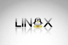 Linux防火墙Iptables学习笔记（五）Linux+Iptables构筑防火墙实例