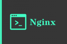 Windows搭建nginx网站服务器的方法