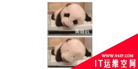 传统 vs 敏捷 ？第三方业务风控服务企业项目管理分析