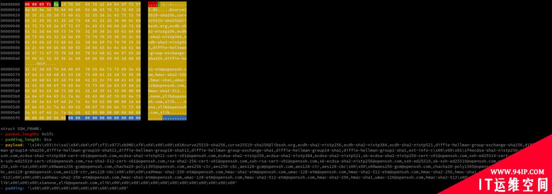 取证分析之 OpenSSH Session 信息解密