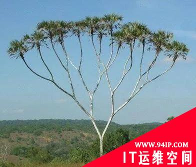 没有被了解的API？一个老码农眼中的API世界