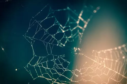 如何使用netstat命令判断服务器是否遭受DDoS攻击？