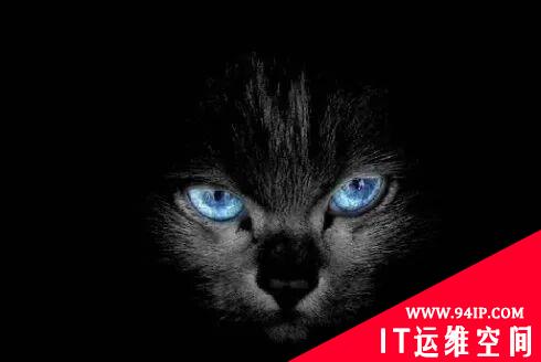 疫情宅家看电影需小心：黑客利用种子网站传播恶意软件！