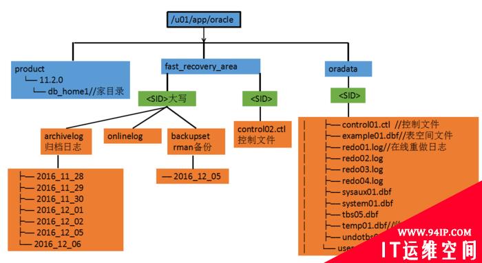 数据库oracle 目录结构
    


		
Oracle数据库入门——sql语句和函数详解